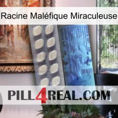 Racine Maléfique Miraculeuse 34